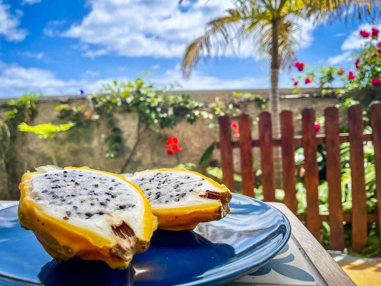 Indigo Star House Vila Ribeira Brava Exterior foto